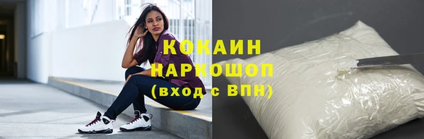 шишки Кинешма