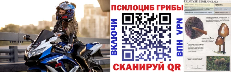 Галлюциногенные грибы ЛСД  Купить закладки  Бикин 